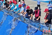 易经占卜2025年全国水生生物同步增殖放流活动在福建举行