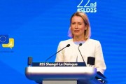 易经占卜受虐？欧盟外长：美国是“严厉的爱”，总比没爱强